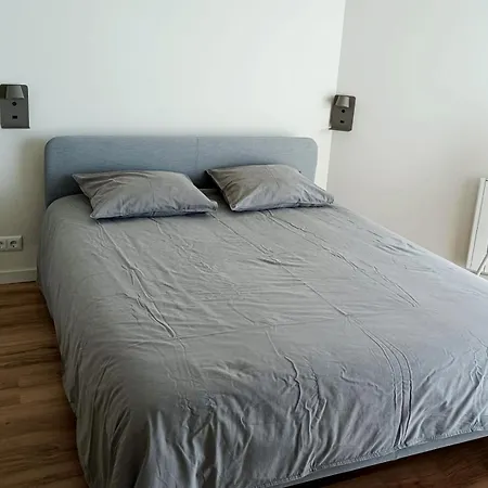 Cavalos De Apartamento *