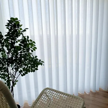 Cavalos De Apartamento Ofir