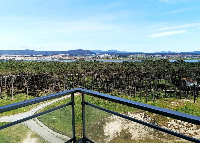 Cavalos De * 奥菲尔