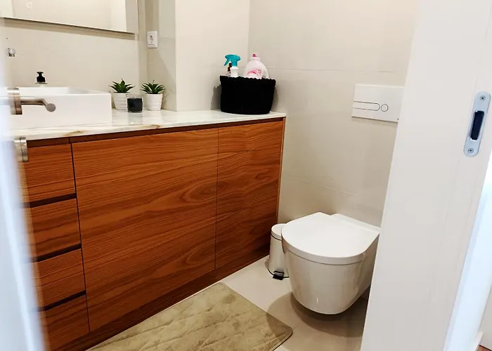 公寓 Cavalos De 奥菲尔